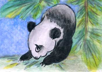 "Panda" by Vina Yang, Verona WI - Watercolor - SOLD
